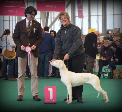 Angel del Ronda Casa - AMSTERDAM WINNER SHOW