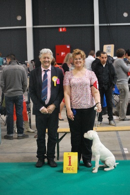 Angel del Ronda Casa - première expo pour les petits Léo et Léa à Liege
